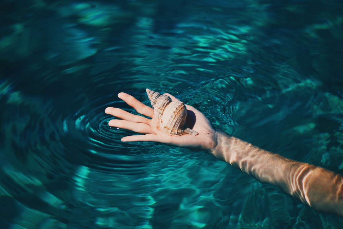 Wetgeving Magic Truffels Nederland: Waarom Wel Legaal?